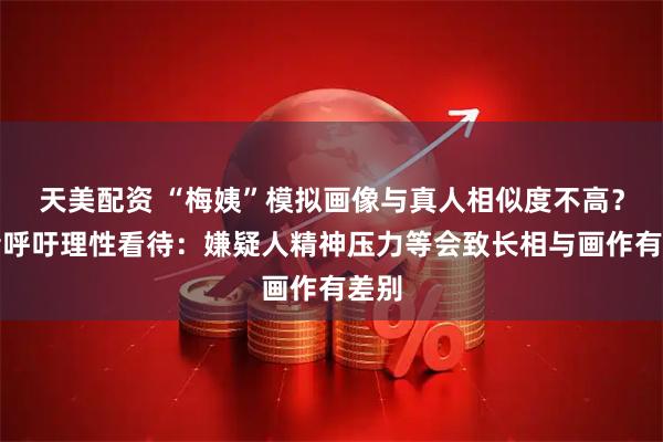 天美配资 “梅姨”模拟画像与真人相似度不高？作者呼吁理性看待：嫌疑人精神压力等会致长相与画作有差别