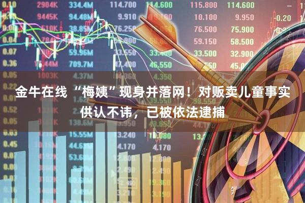 金牛在线 “梅姨”现身并落网！对贩卖儿童事实供认不讳，已被依法逮捕