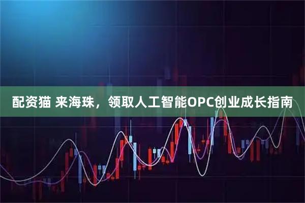 配资猫 来海珠，领取人工智能OPC创业成长指南