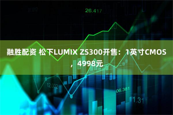 融胜配资 松下LUMIX ZS300开售：1英寸CMOS，4998元