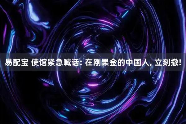 易配宝 使馆紧急喊话: 在刚果金的中国人, 立刻撤!